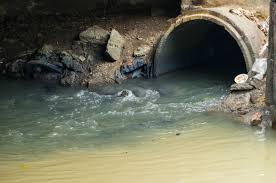 Gold and silver in the Brussels sewers?