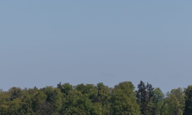 Breitling e Swiss unem forças para promover a aviação sustentável 