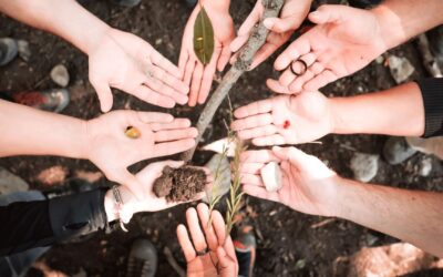 Breitling anuncia resultados da “Missão de Sustentabilidade”