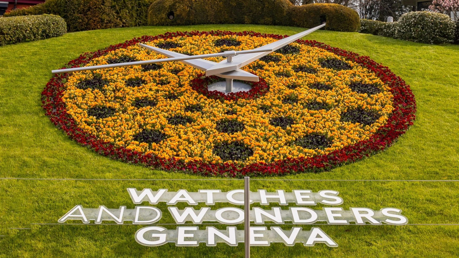 660090503_18576782512023898_3809489394998428207_n