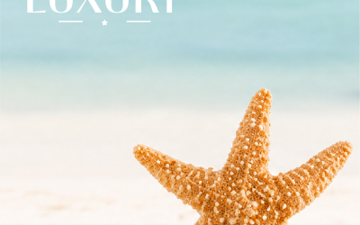 A equipa da My Star Luxury deseja-lhe um verão feliz