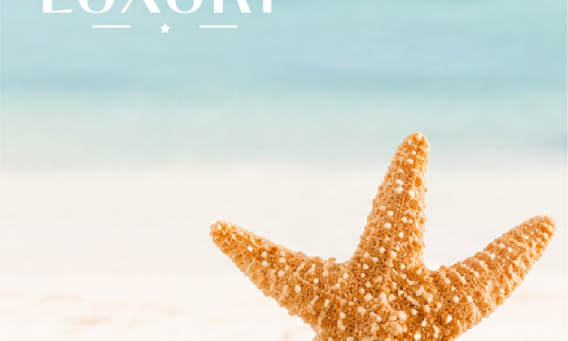 A equipa da My Star Luxury deseja-lhe um verão feliz